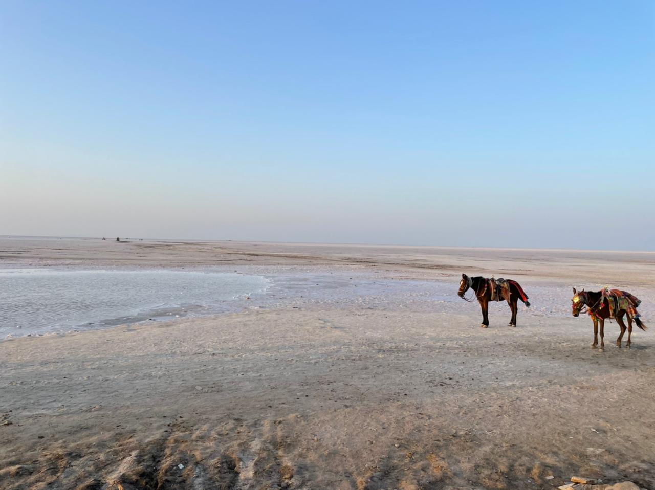 RAAN OF KUTCH